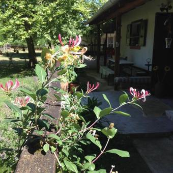 Hostal Garz�-puszta Tanya