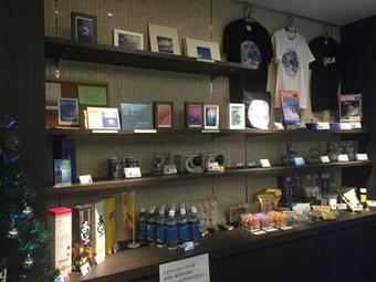 Hotel Lexton Tanegashima