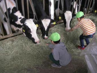 Rokuroshi Kogen No Yado