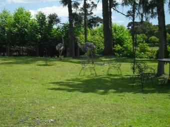 Hotel Fazenda Pampas