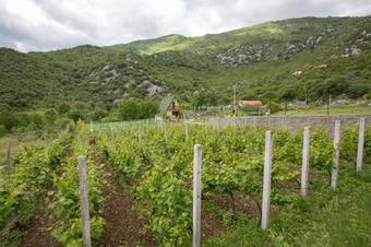 Agroturismo Cozy House Ostrog