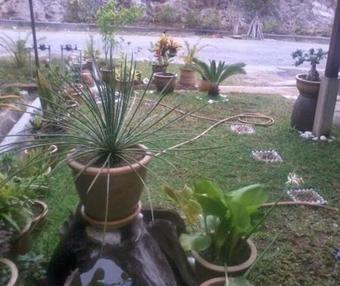 Hostal Deegee Homestay