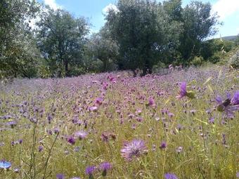 Quinta De S�o Jo�o