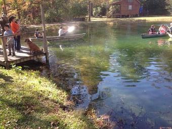 Bed & Breakfast Berry Creek Cabins