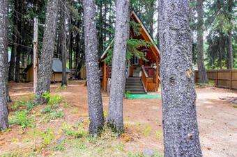 Cabin In The Woods
