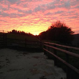 Bed & Breakfast Ty Shon Jacob Farm