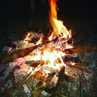 Green Grass Homestay