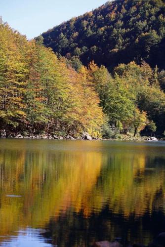 Apartamento Margherita Home