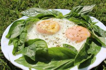 Bed & Breakfast Zolota Pidkova