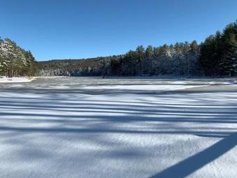 Bed & Breakfast The Country Inn