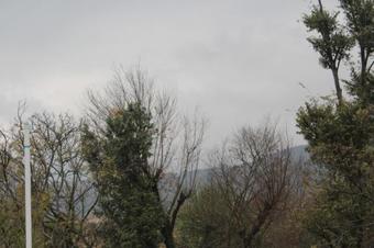 Hotel Room Accommodation In A Homestay