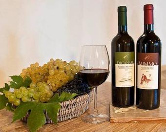 Agroturismo Colle Del Giglio