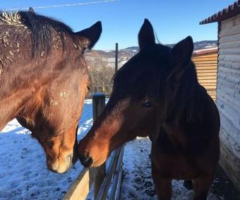 Agroturismo Ca' Mariuccia