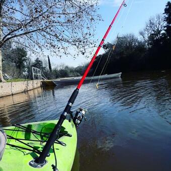 Ver fotos