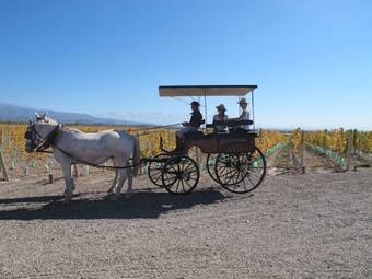 Hotel Casa De Uco Vineyards And Wine Resort