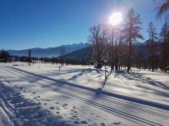 Apartamento Appartementhaus Sonne