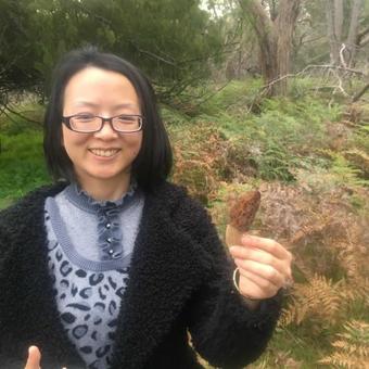 Coonawarra Bush Holiday Park