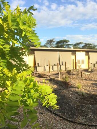 Motel Tread Harcourt