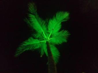 Hotel Pousada Do Bosque Amargosa