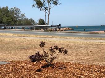 Bribie Waterways Motel