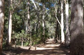 Karrak Reach Forest Retreat