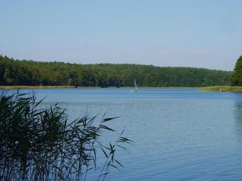 Ferienhaus Warthe Uck 661