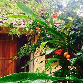 Hostal Pousada Too Cool