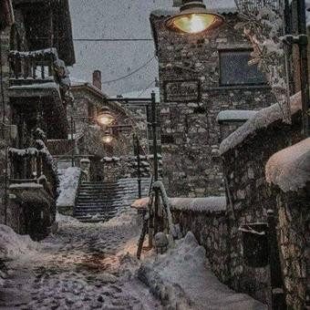 Ver fotos