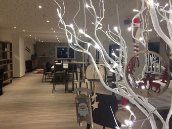 Ver fotos