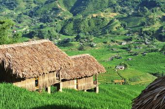 Hotel Eco Palms House - Sapa Retreat