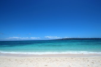 Hotel Green Monkey Resort