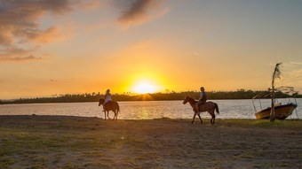 Hotel Bayview Cove Resort