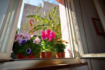 Naxos Sea Holiday Apartments