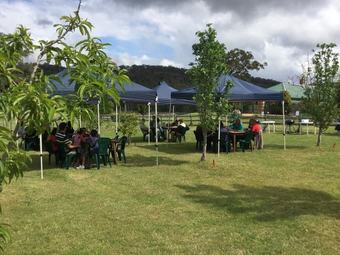 Agroturismo Ascella Organic Wine