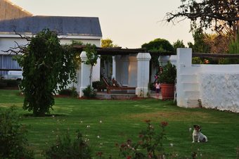 Karoo Gariep Hippo Conservancy/new Holme