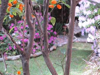 Bed & Breakfast La Casona De Grace