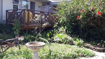 Parrot Peek B&B