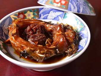 Seiryu No Yado Kawachi