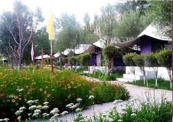 Valley Flower Camp Nubra