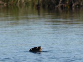 Puerto Valle Hotel De Esteros