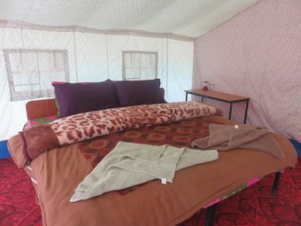 Tih Camp Blue Waters - Pangong