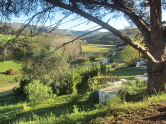Swaynekloof Farm