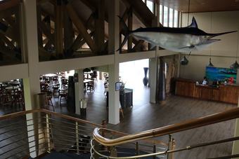 Hotel Cove Resort Palau