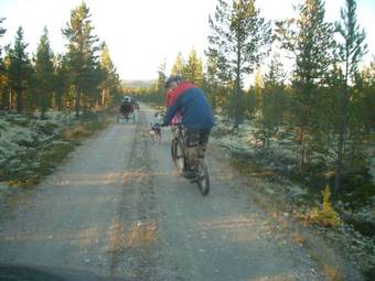 Lodge L�kken Fjellg�rd