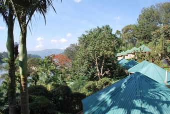 Crater Bay Cottages