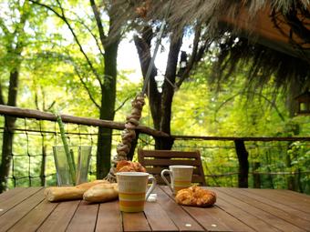 L'arbre � Cabane