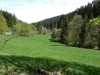 Apartamento Ferienwohnung Bradsch