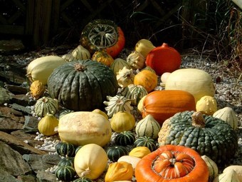 Bed & Breakfast Chateau La Cour