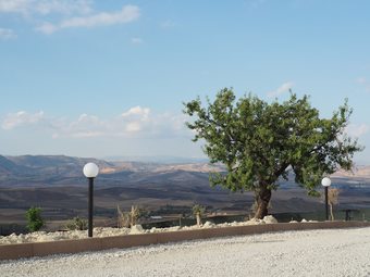 Bed & Breakfast Agriturismo Paparanza