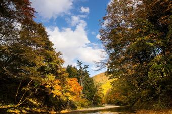 Cabana Miyori Furusato Taikenmura